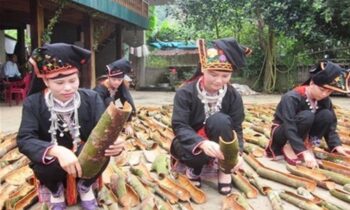 Người dân Yên Bái thu hoạch Quế