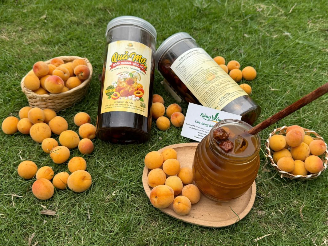 QUẢ MƠ NGÂM ĐƯỜNG