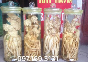 đinh lăng điêu khắc bộ tùng trúc cúc mai