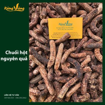 chuối hột rừng Tây Nguyên