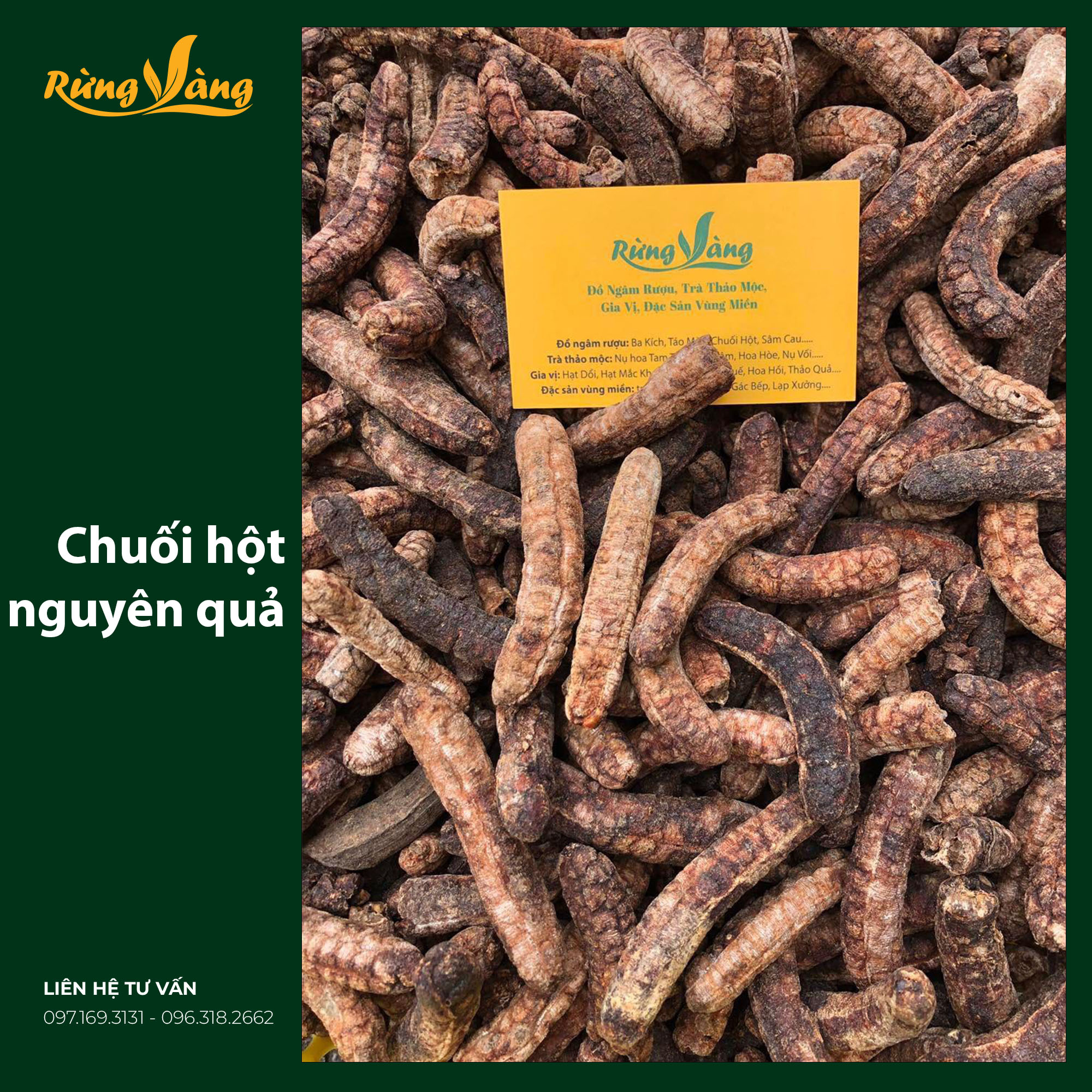 chuối hột rừng Tây Nguyên