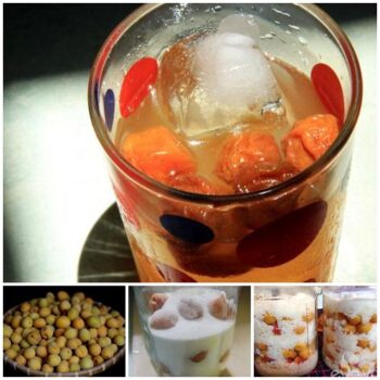 nước mơ thức uống giải khát tuyệt vời
