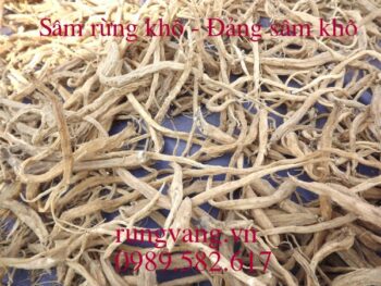 Đẳng sâm khô