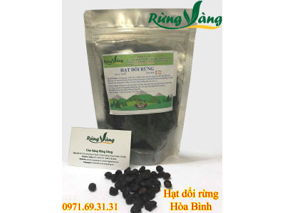 hạt dổi rừng - hạt dổi nếp Rừng Vàng