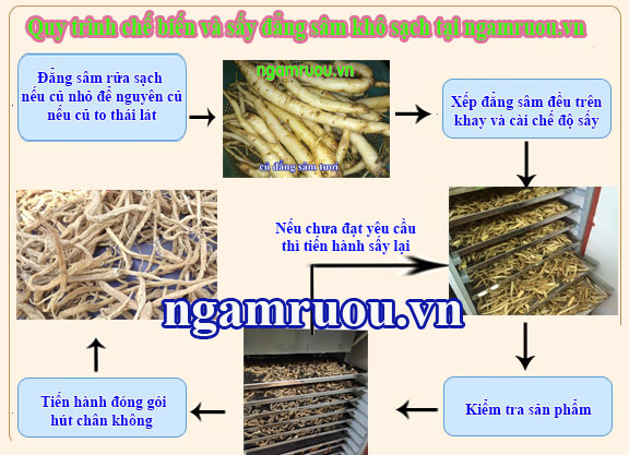 quy trình sấy sạch đẳng sâm rừng khô tại shop Rừng Vàng