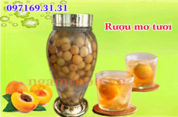rượu mơ tươi