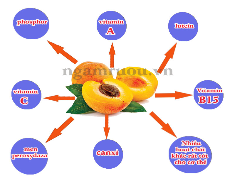 tác dụng của quả mơ ngâm đường