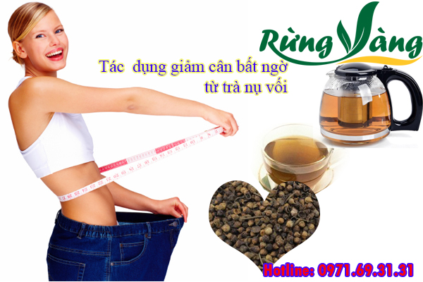 giảm béo bằng trà nụ vối hiệu quả bất ngờ