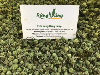 mua nụ hoa tam thất bắc tươi uy tín tại shop Rừng Vàng