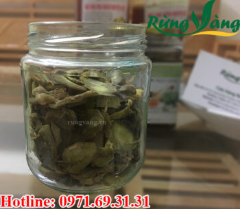 cho tam thất vào bình ngâm thủy tinh