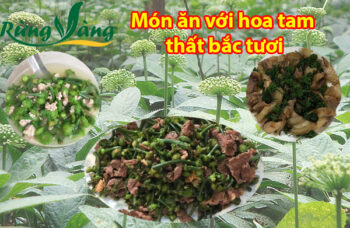 các món ăn bổ dưỡng với hoa tam thất tươi