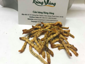 sản phẩm sâu chít sấy khô chất lượng cao