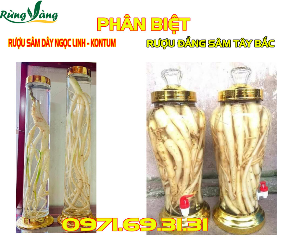 Rượu Sâm Dây Ngọc Linh