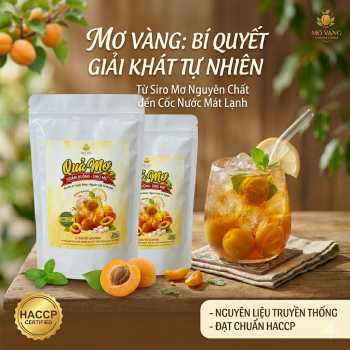 Quả mơ ngâm đường nguyên chất túi zip 2kg